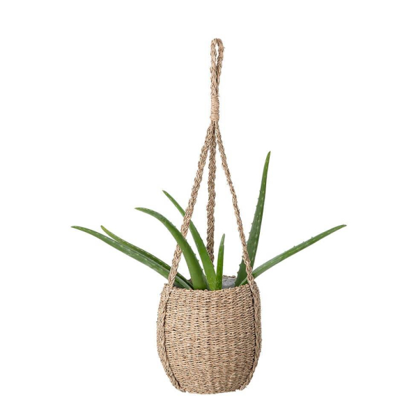 RockieBlumentopf_1.jpg